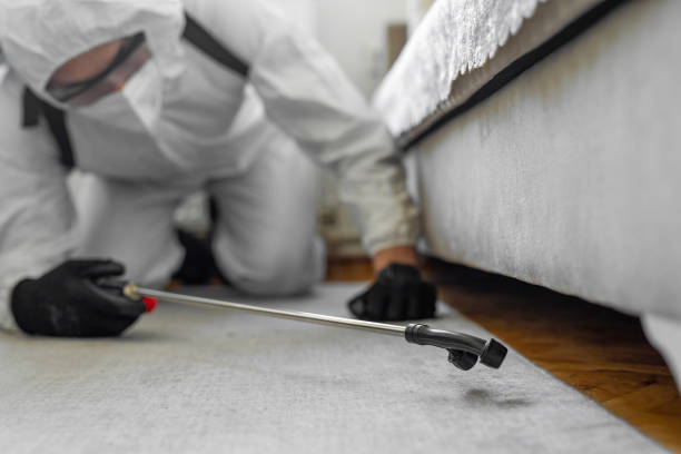 Professional Termite Control technician working in Marion, AL