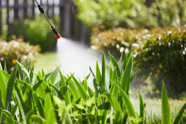24/7 Emergency Termite Control experts in Marion, AL