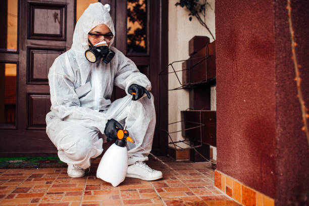 Reliable Termite Control contractor in Marion, AL by Nex Pest Control